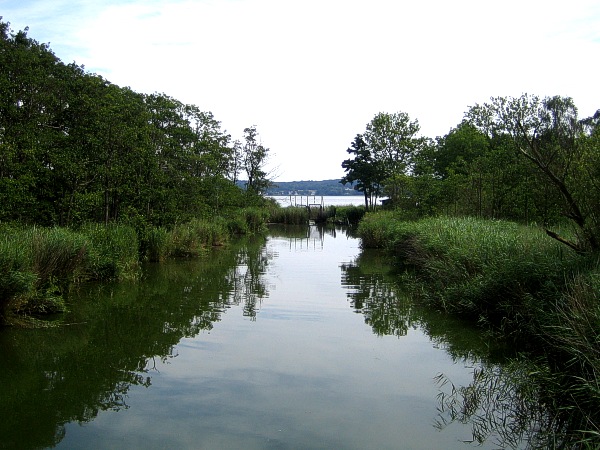 Blick auf den Schmollensee bei Pudagla